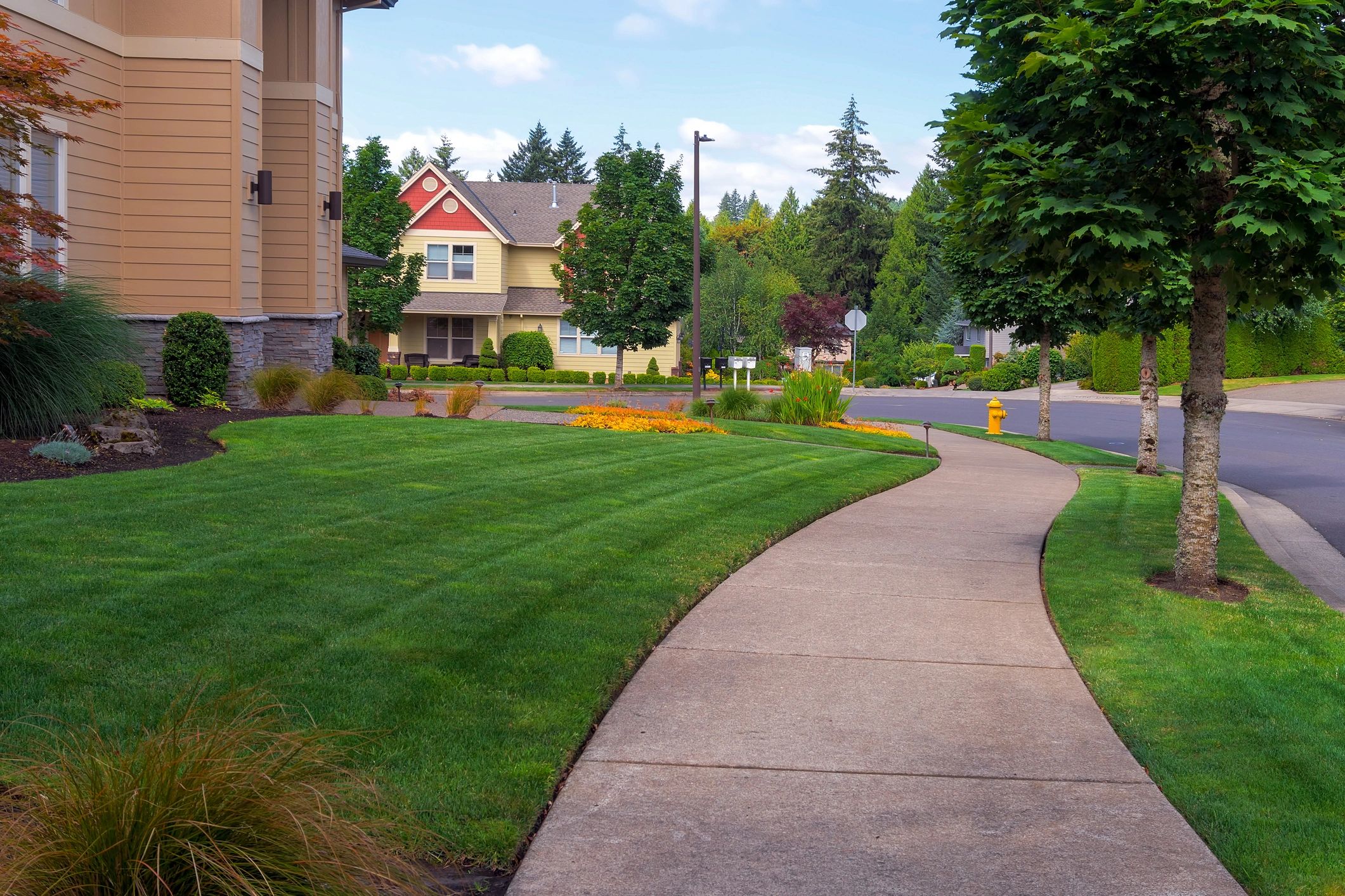 Sprinkler Installation