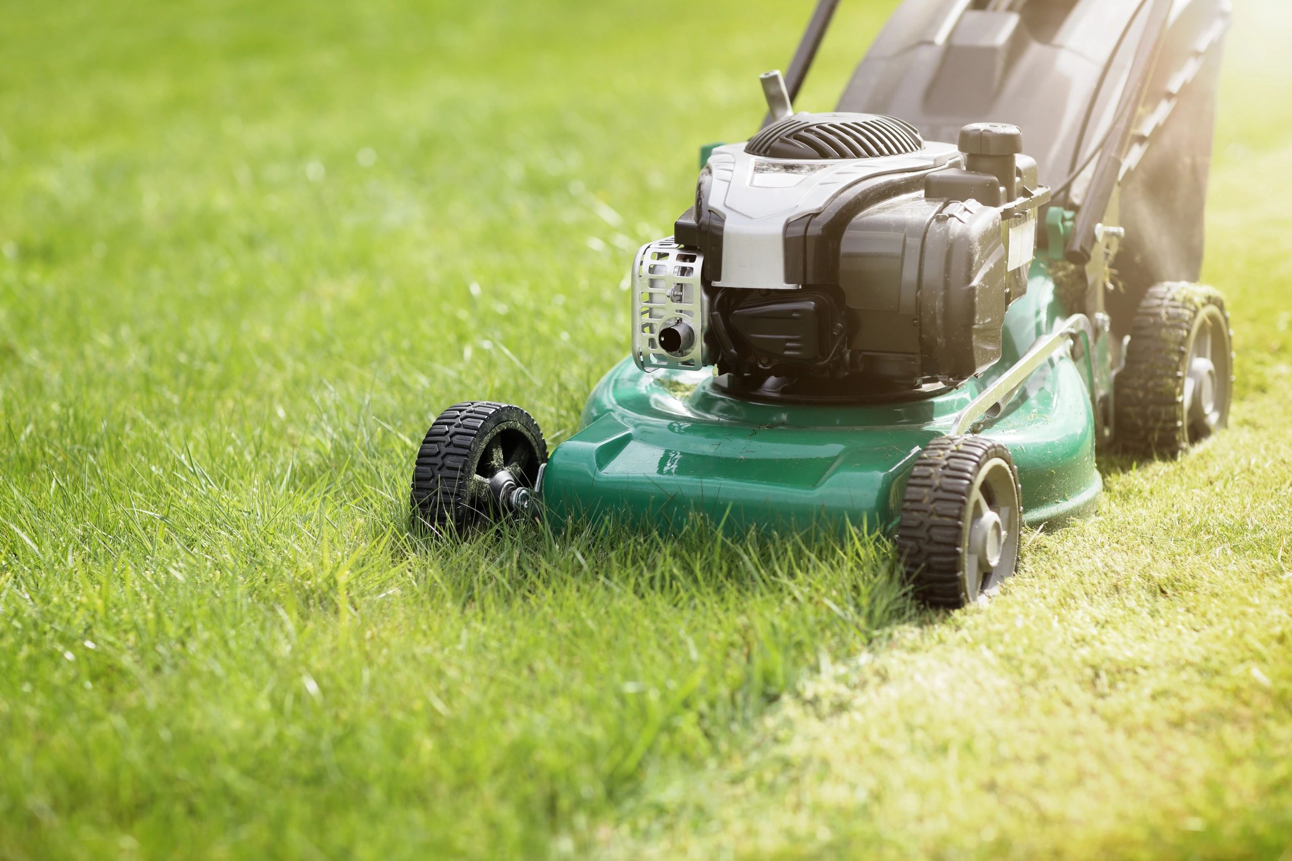 Happy customer with a lush green lawn